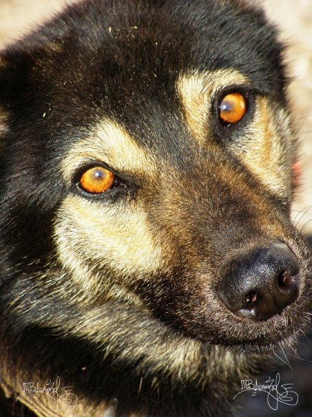 Фотовиставка Тетяни Должко